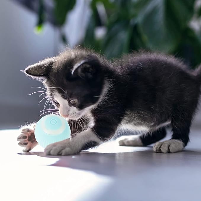 Bola de juguete interactivo para gatos azul - additional image 4